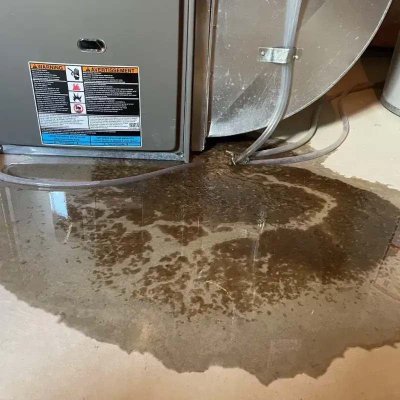 Appliance Leak Cleanup in Charlotte, TN